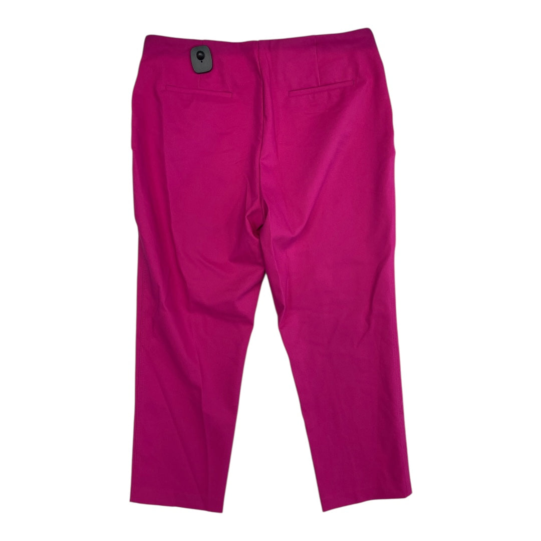 Pants Cropped By Rachel Zoe In Pink, Size:16