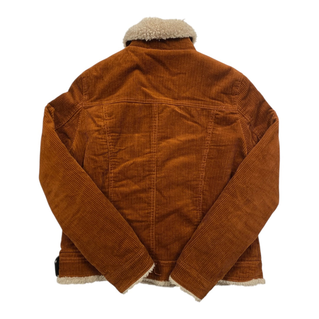 Coat Other By Vigoss In Brown, Size:M