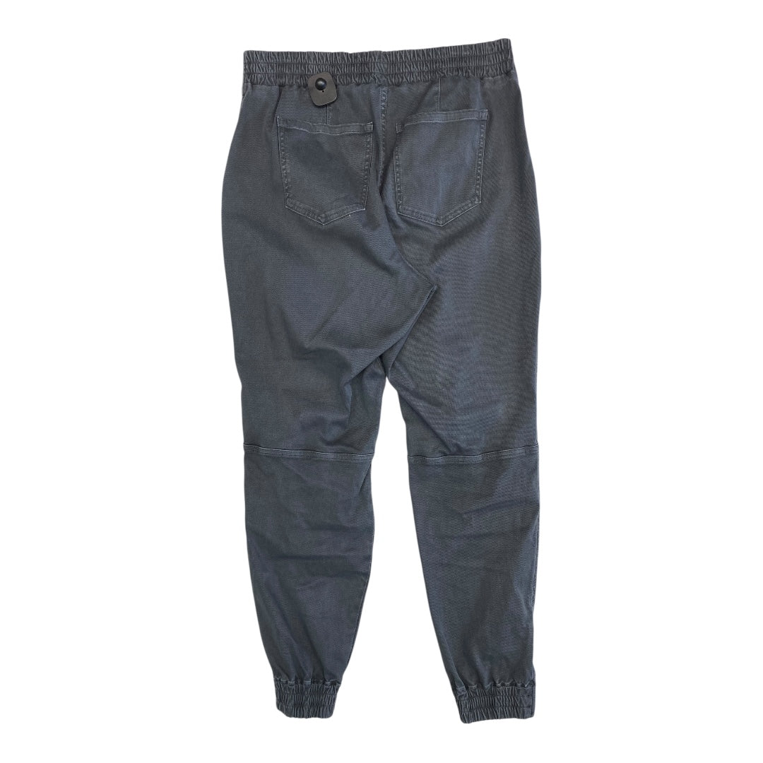 Pants Cargo & Utility By Spanx In Grey, Size:Xl