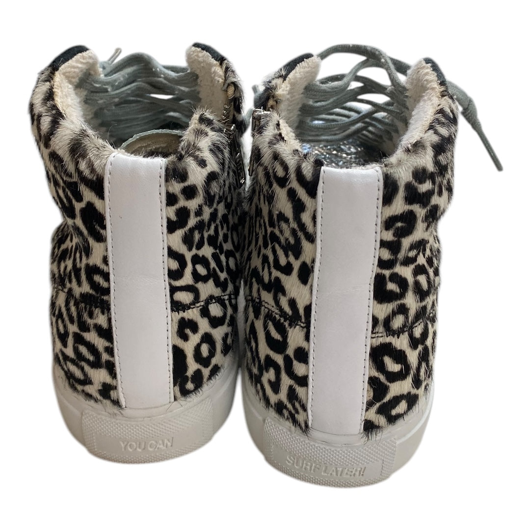 Shoes Designer By P448 In Multi, Size:8.5