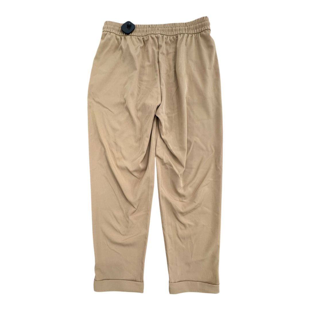 Pants Other By Stylus In Brown, Size:M