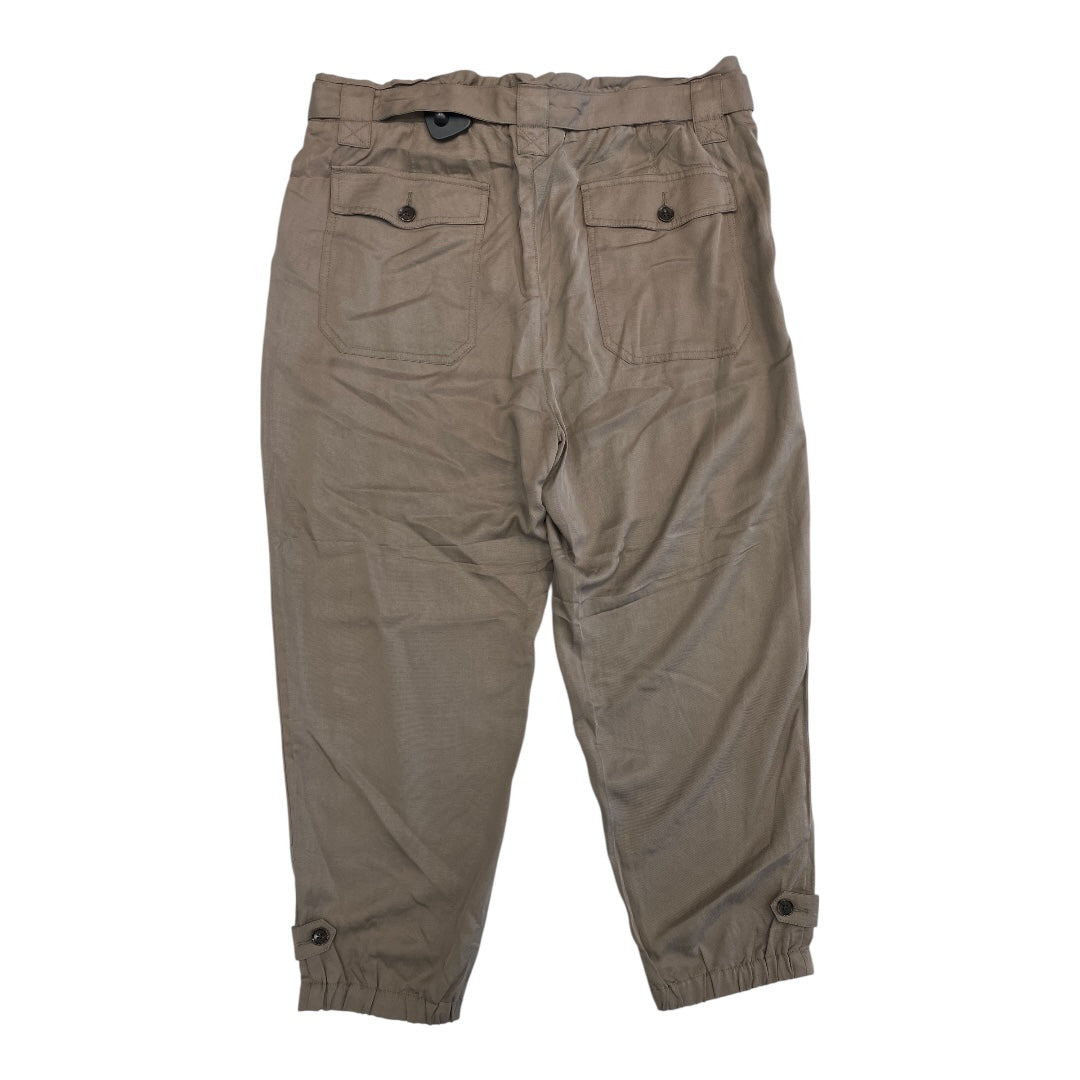 Pants Other By Banana Republic In Taupe, Size:16