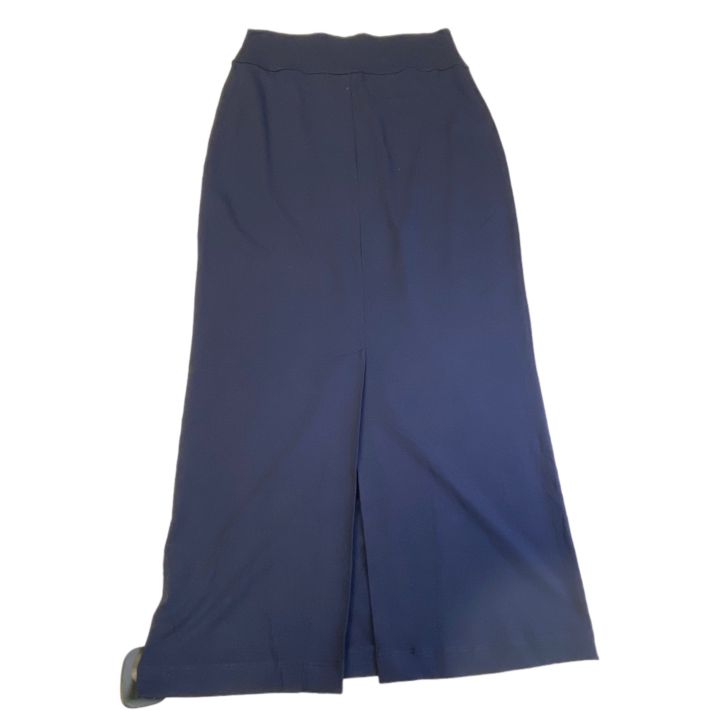 Skirt Maxi Designer By Eileen Fisher Size: S