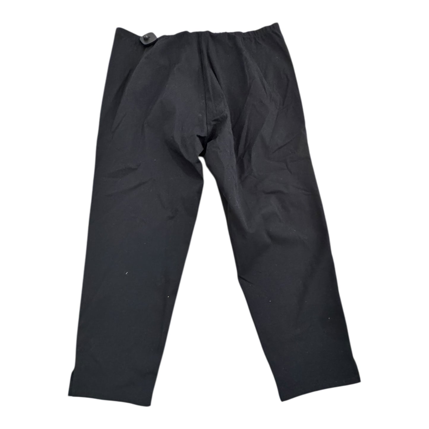 Pants Designer By Eileen Fisher In Black, Size:1X