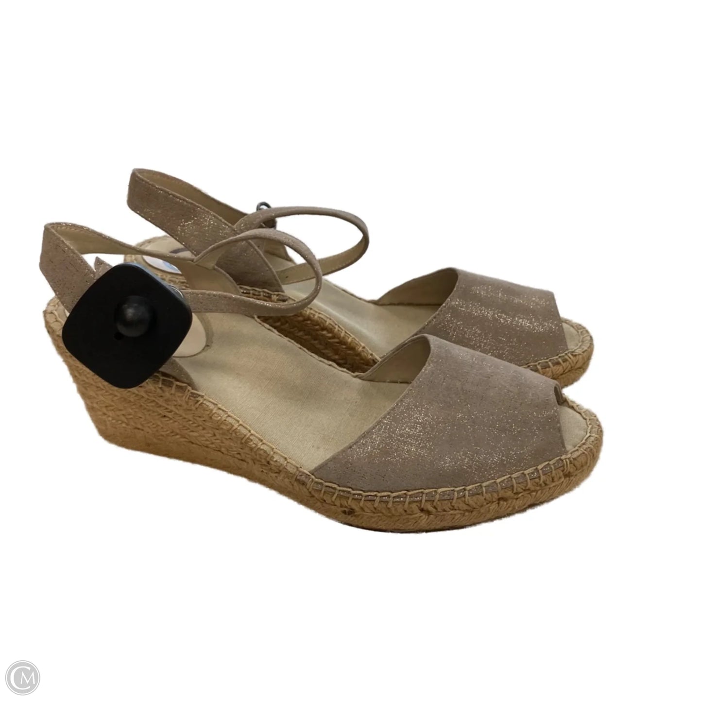 Sandals Heels Wedge By Abeo In Silver, Size: 9