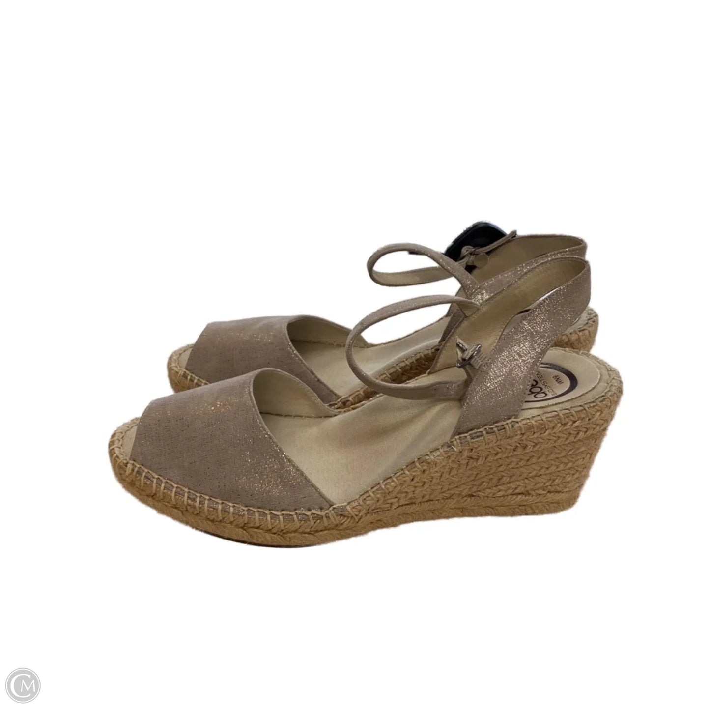 Sandals Heels Wedge By Abeo In Silver, Size: 9