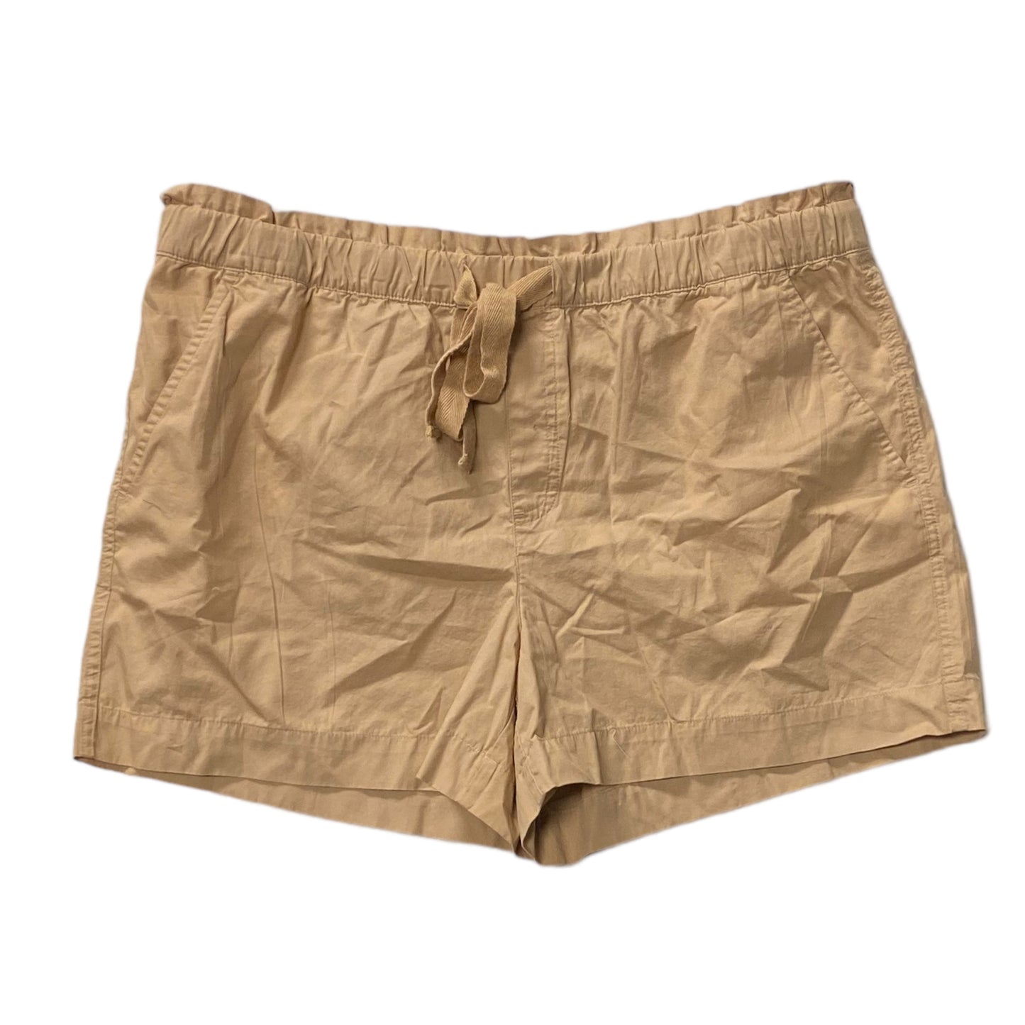 Shorts By Loft  Size: L