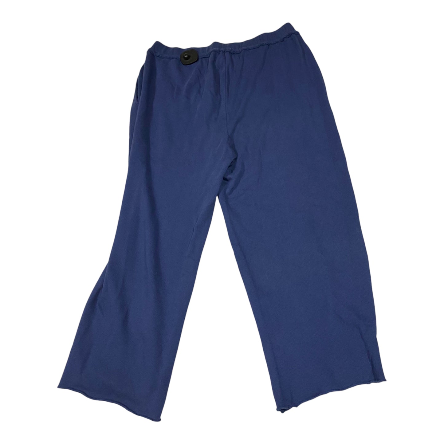 Pants Lounge By Eileen Fisher In Blue, Size: L