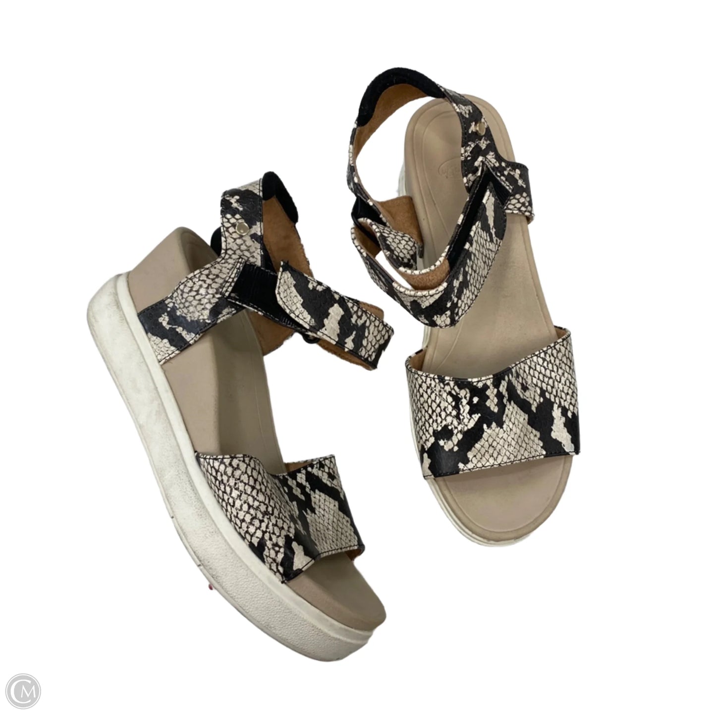 Sandals Heels Platform By Dr Scholls In Snakeskin Print, Size: 6.5