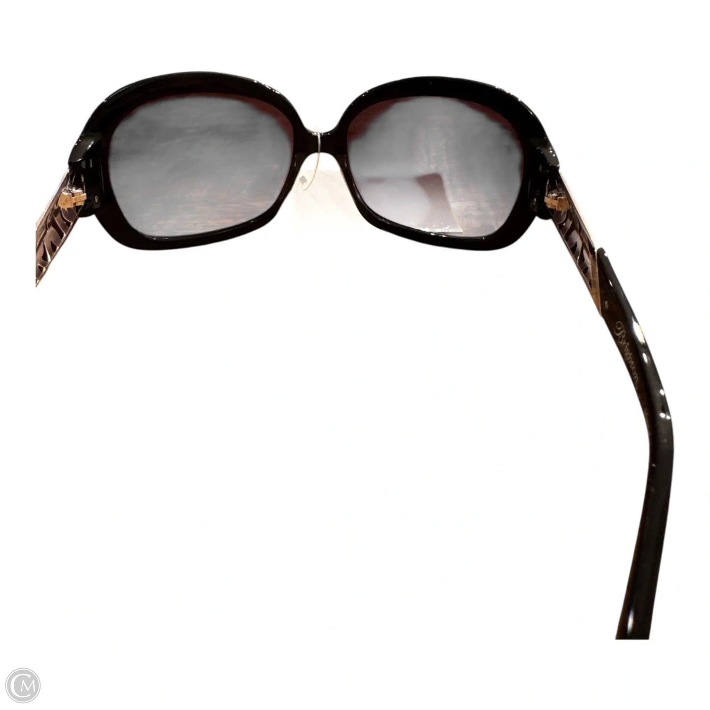 Sunglasses Designer By Brighton