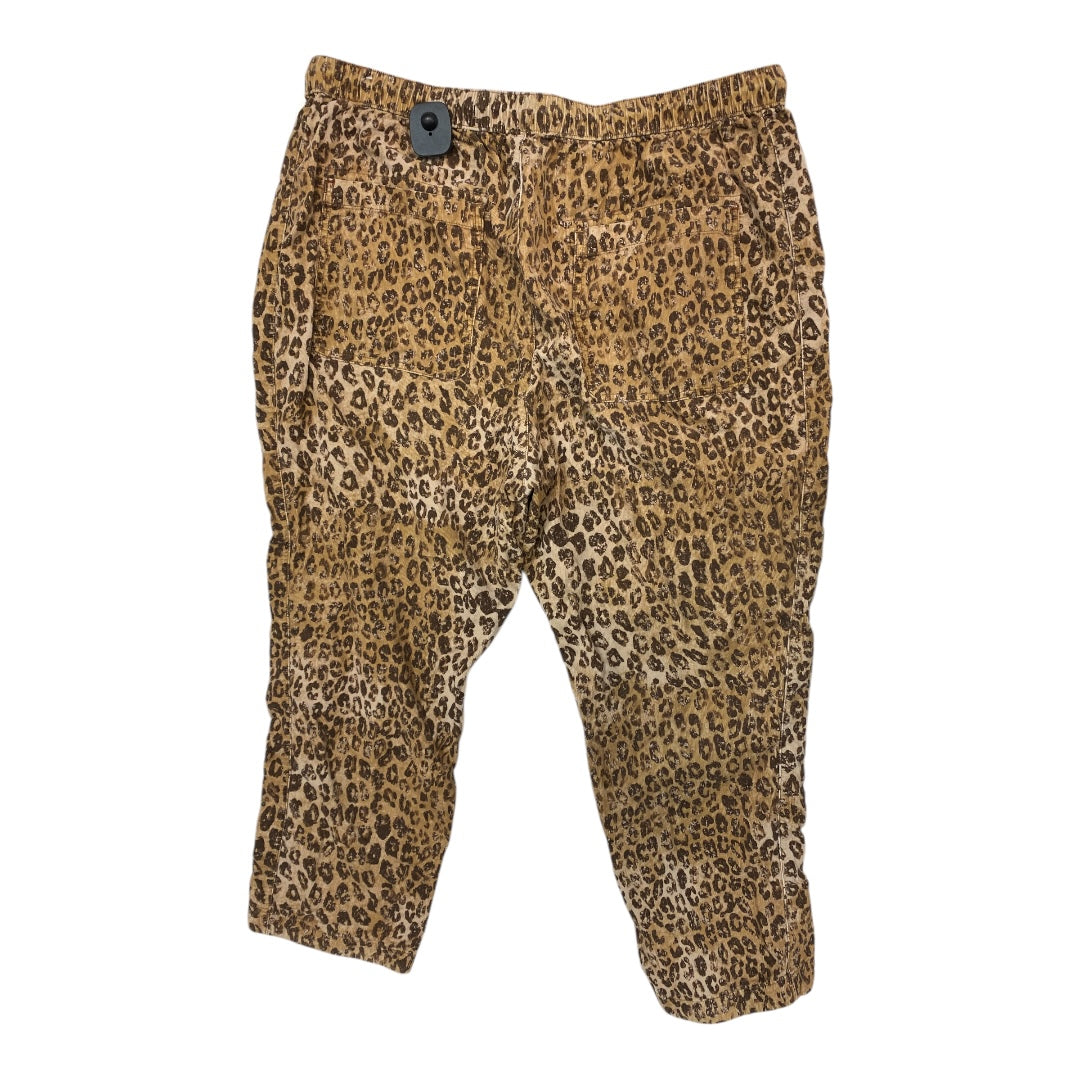 Pants Cargo & Utility By Pilcro In Leopard Print, Size: Xl