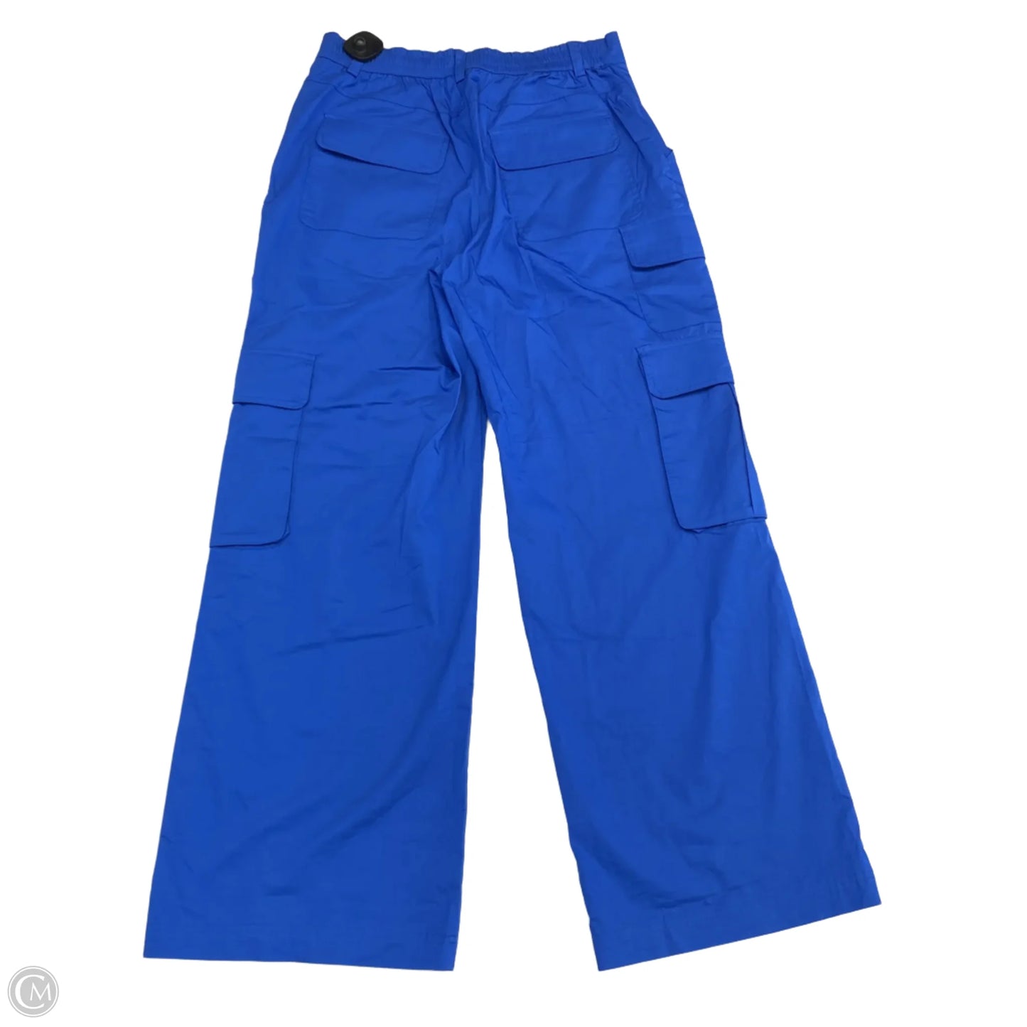 Pants Cargo & Utility By Clothes Mentor In Blue, Size: M