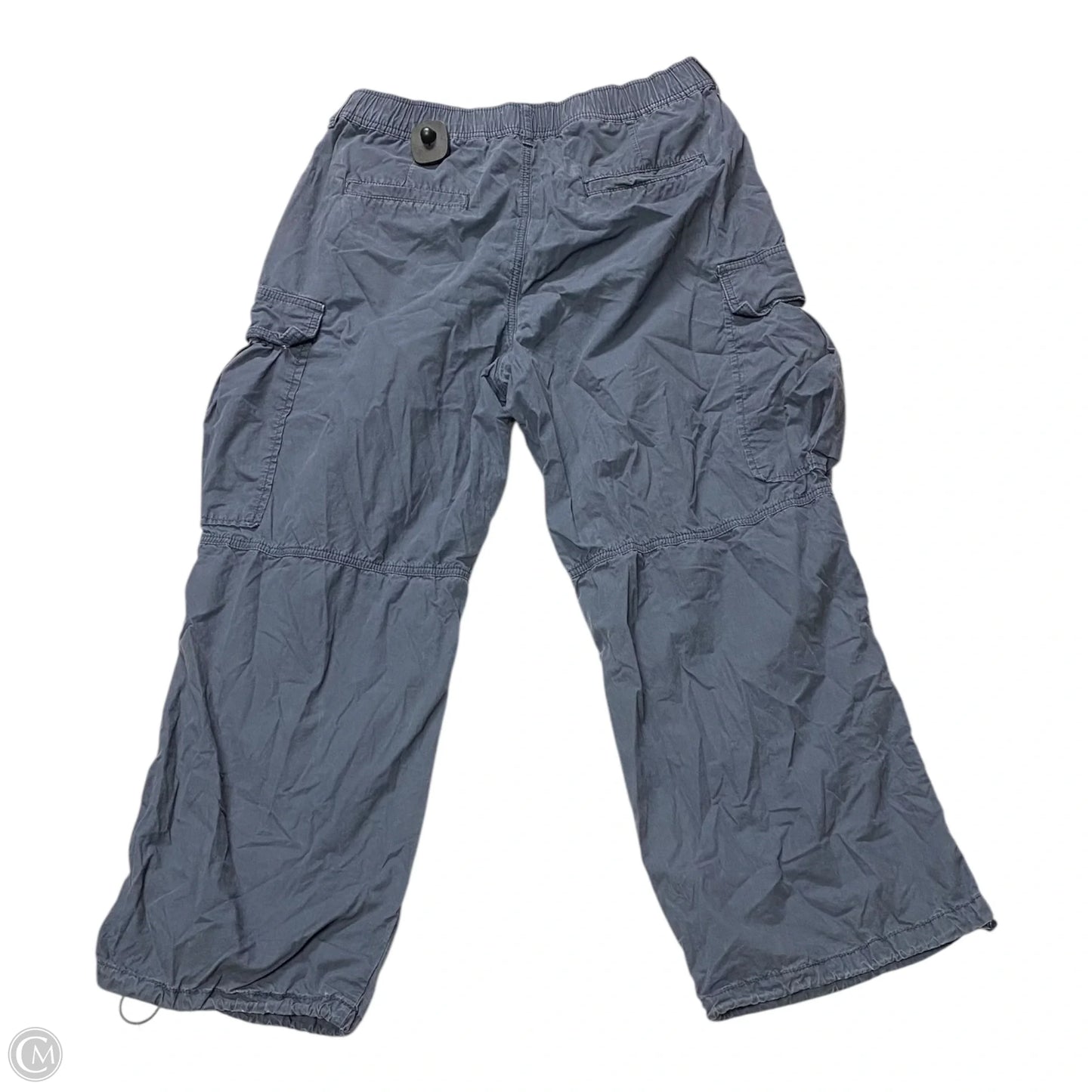 Pants Cargo & Utility By Anthropologie In Blue, Size: 10