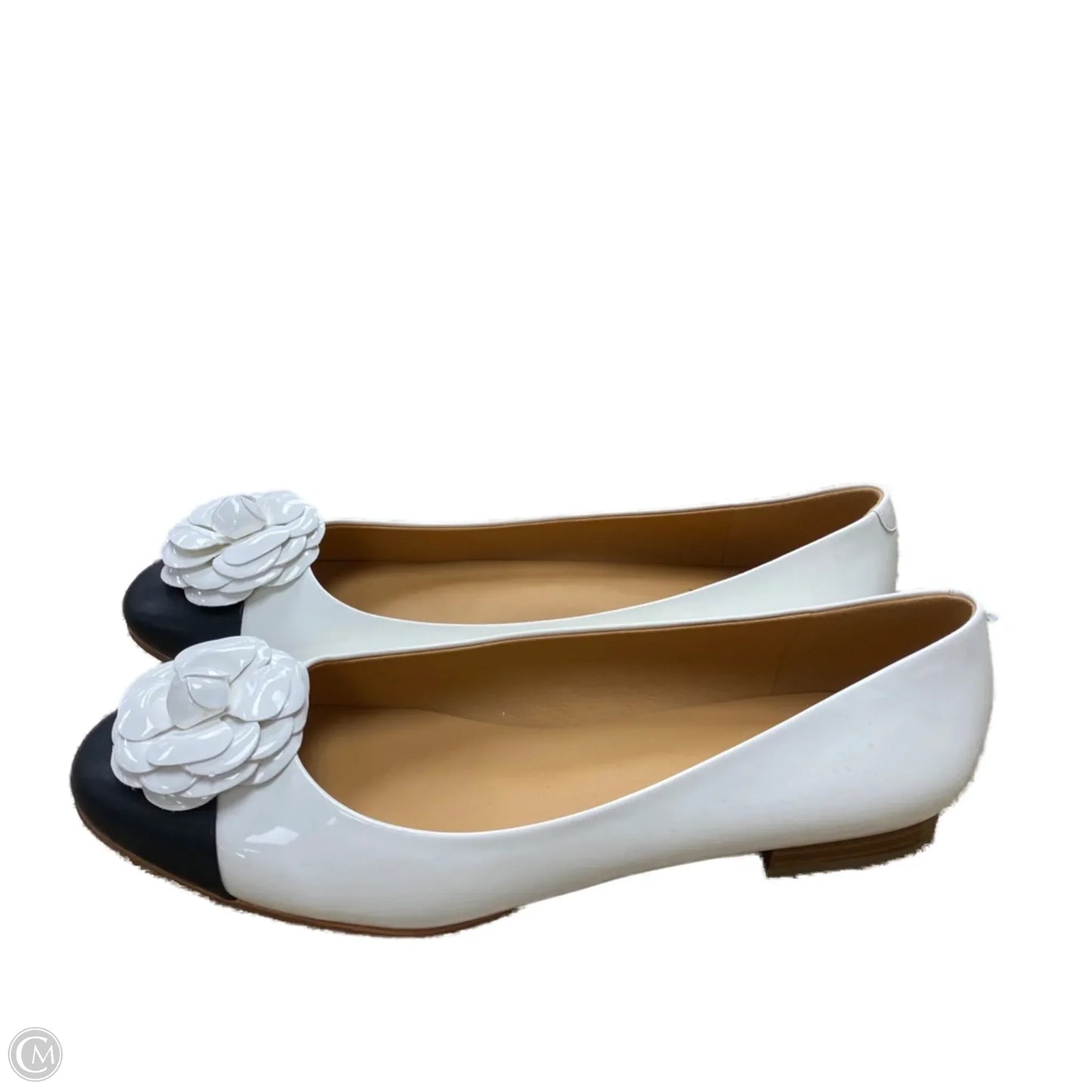 Shoes Flats By  TUPAKEI In White, Size: 9.5