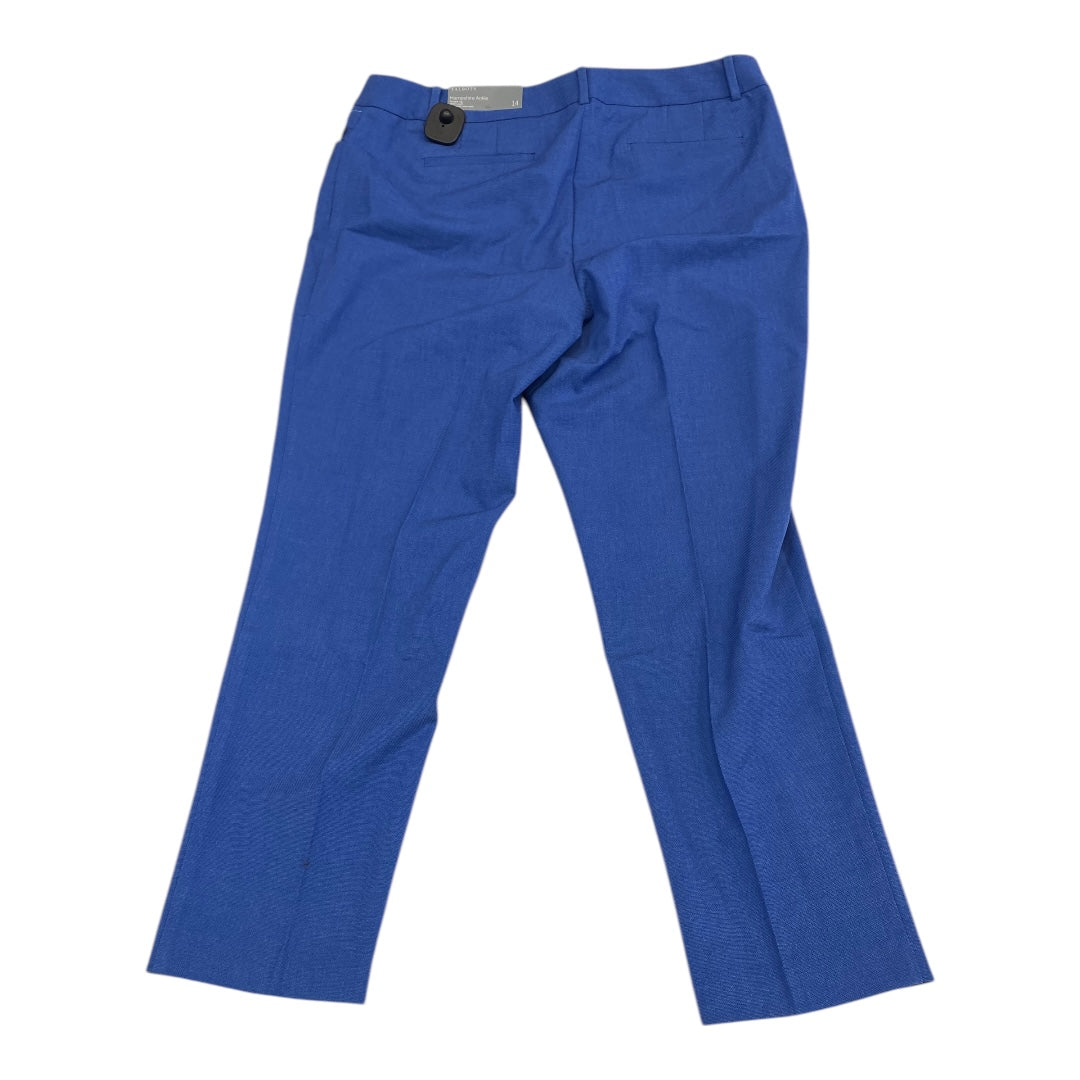 Pants Cargo & Utility By Talbots In Blue, Size:14