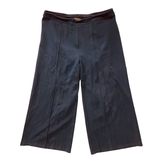 Pants Cropped By J. Jill In Navy, Size:L