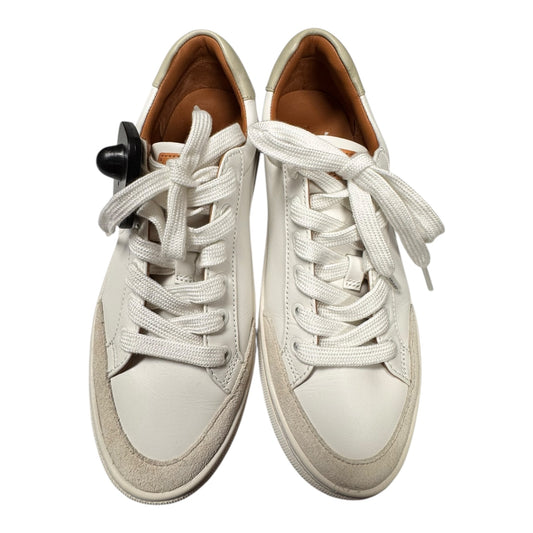 Shoes Designer By Tory Burch In Blue & Cream, Size:6