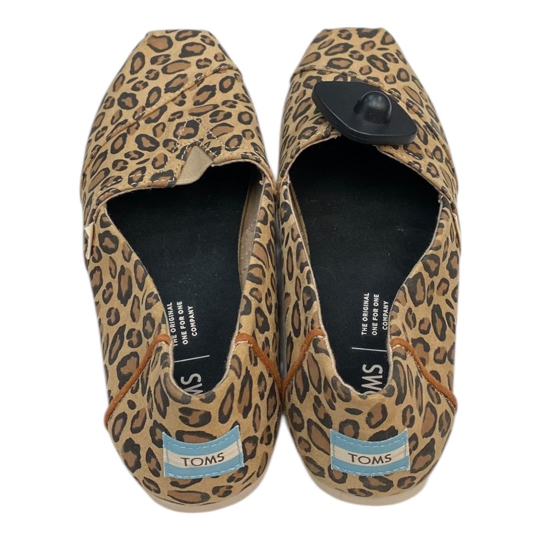 Shoes Flats By Toms In Animal Print, Size:8.5