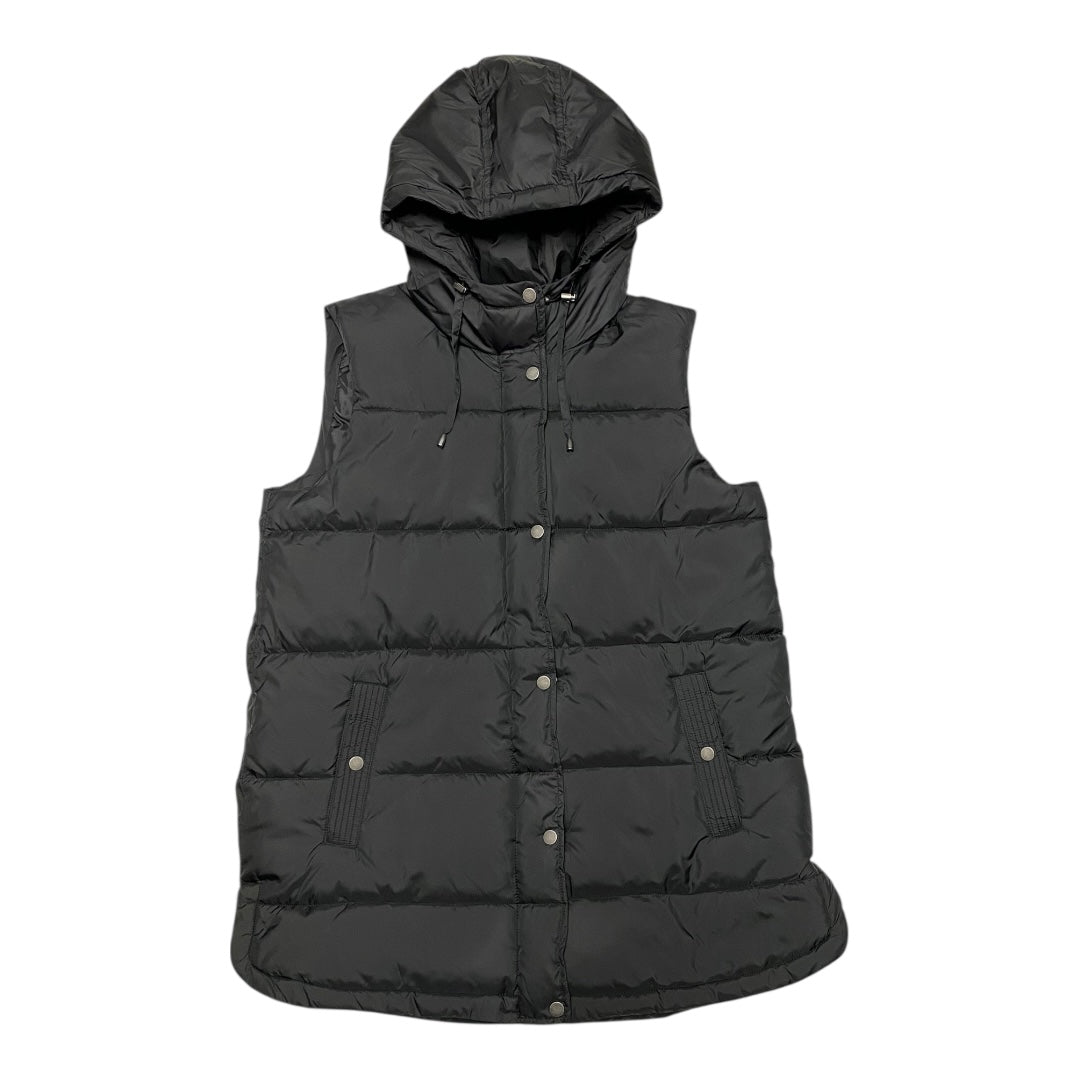 Vest Puffer & Quilted By St Johns Bay In Black, Size:L