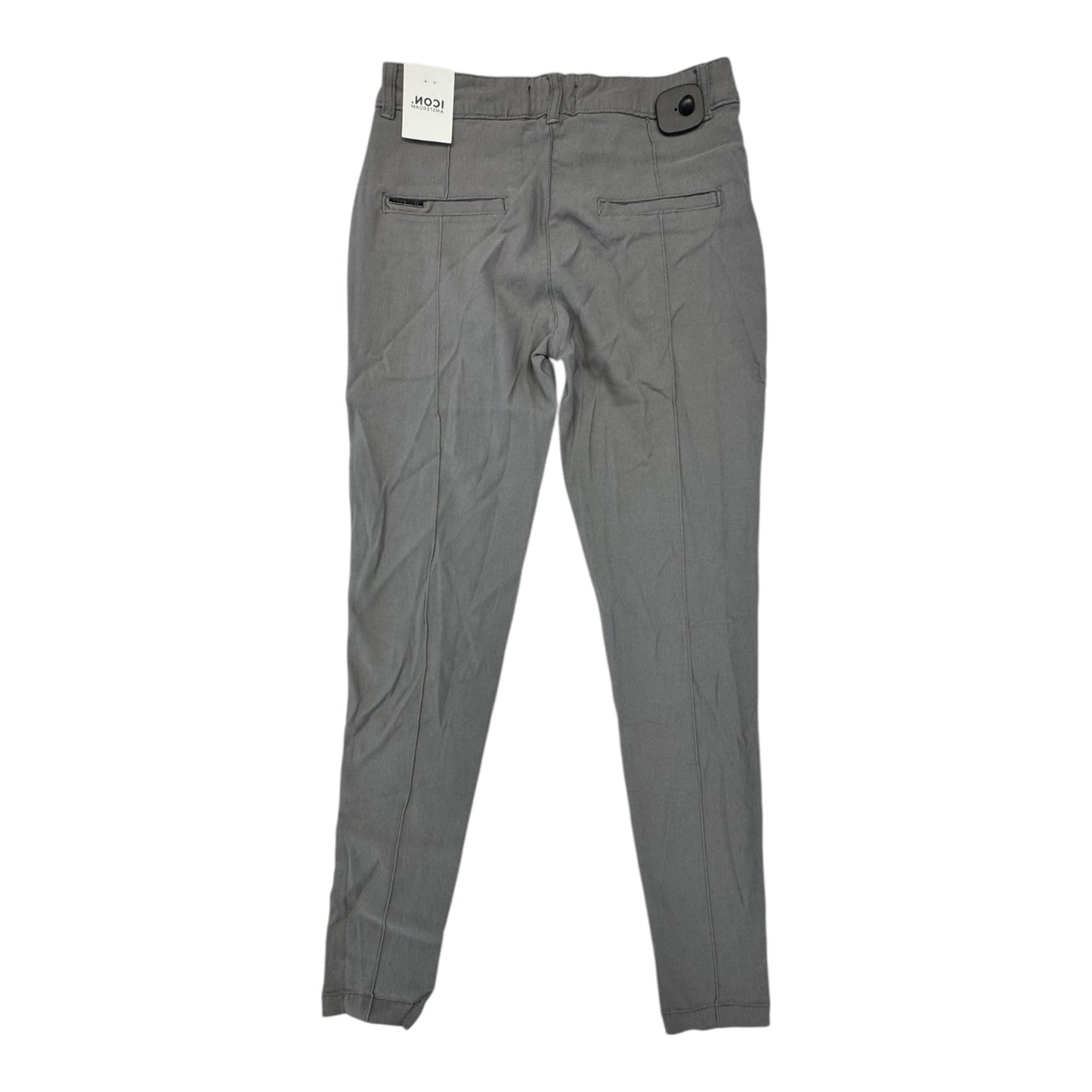 Pants Other By ICON In Grey, Size:6