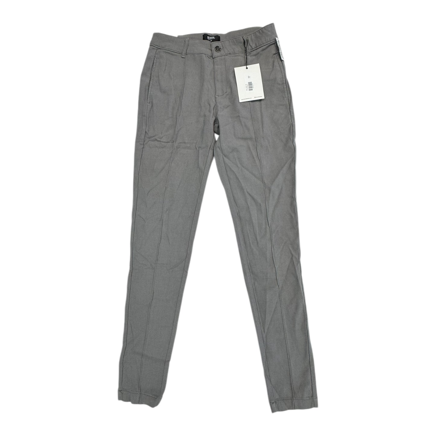 Pants Other By ICON In Grey, Size:6