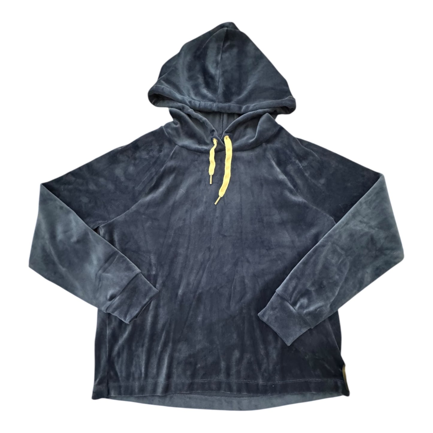 Sweatshirt Hoodie By J. Crew In Blue Velvet, Size:S